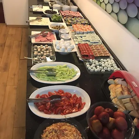 فندق مدحت 3*